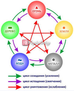 У Син 1